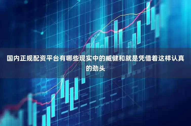 国内正规配资平台有哪些现实中的臧健和就是凭借着这样认真的劲头
