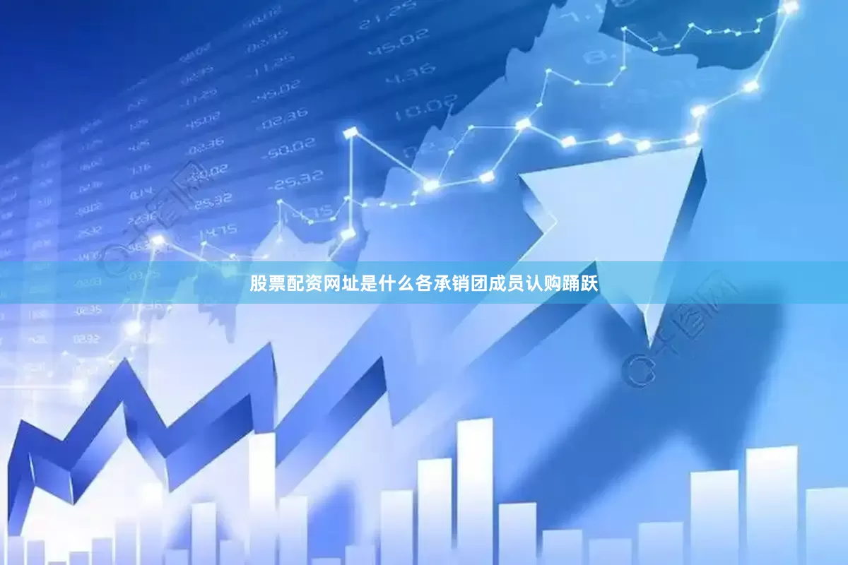 股票配资网址是什么各承销团成员认购踊跃