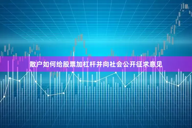 散户如何给股票加杠杆并向社会公开征求意见
