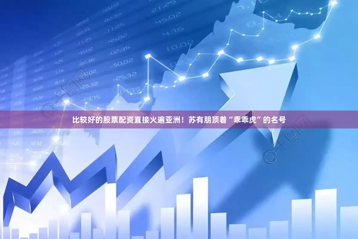 比较好的股票配资直接火遍亚洲！苏有朋顶着“乖乖虎”的名号