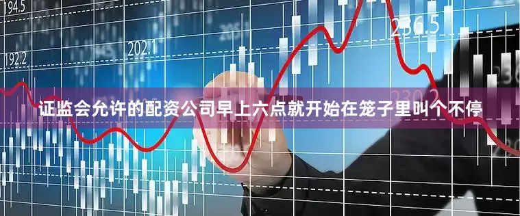 证监会允许的配资公司早上六点就开始在笼子里叫个不停