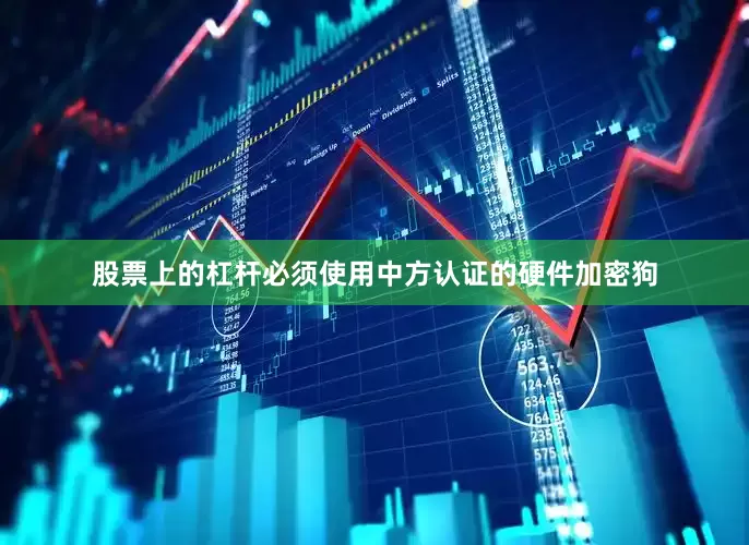 股票上的杠杆必须使用中方认证的硬件加密狗