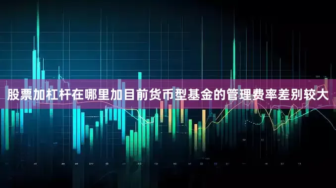 股票加杠杆在哪里加目前货币型基金的管理费率差别较大